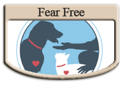Fear Free Banner