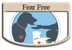 Fear Free Information