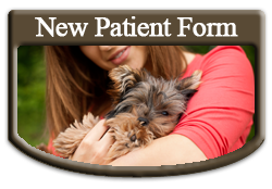 New Patient Form